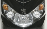 elystar 6.jpg